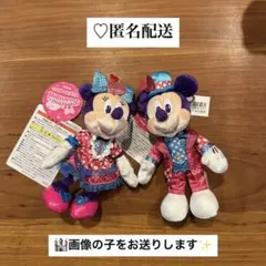 ミニー　ミッキー　ぬいぐるみ　ミニーのファンダーランド　パルパルーザ　ぬいば