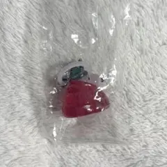 PEANUTS めじるしアクセサリー FUNNYver スヌーピーC