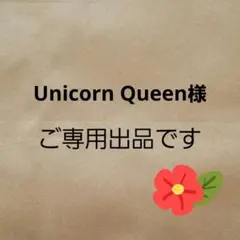 A4 宅配ビニール袋 40枚