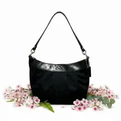 2026年最新】coach ワンショルダーバッグ シグネチャーの人気アイテム