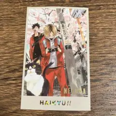 ハイキュー メモリアルコレクション 箔押し 音駒 黒尾鉄朗 孤爪研磨