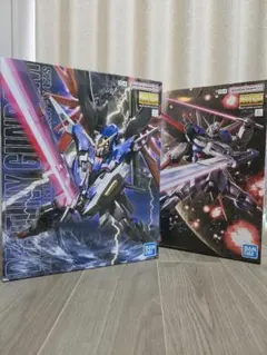 HGデスティニーSpecII＋RGアカツキ 未組立 HGデスティニーSpecII＋RGアカツキ 未組立 - メルカリ
