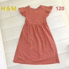 Item thumbnail for item 2e781d6f-efb8-4b6a-8a07-00a7c2d2d05c