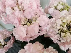 紫陽花　ディープレッド　フルーリン カンガルーポ ピンク アニゴザントス花セット 紫陽花 ディープレッド フルーリン カンガルーポ ピンク