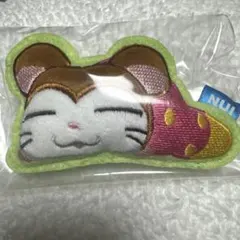 Item thumbnail for item eca39866-4427-4a44-981e-17cc98acca3e