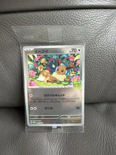 雑*山様 【未開封】　ポケモンカード イーブイ　プロモカード　１枚