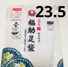 Item thumbnail for item 6c784a6b-3910-4795-80ce-5ed81372db17