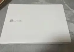 ノートパソコン　LAVIE Direct N15 (PC-GN245JGAS)