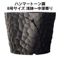 植木鉢 3Dプリンター鉢 8号 浅～中深寄り 塊根 多肉 アガベ 象牙宮