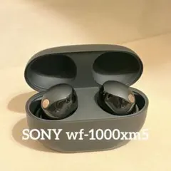SONY wf-1000xm5 ワイヤレスイヤホン 本体＋ケース　ブラックのサムネイル