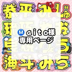 Ⓜ️ a i t o様 専用ページ