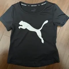 子ども　PUMA Tシャツ　美品