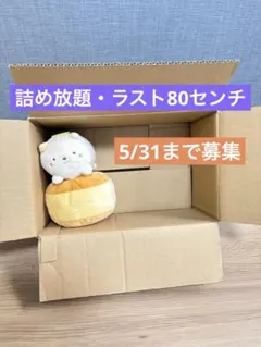 詰め放題　80センチ　受付中