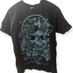 coldrain THE ENEMY INSIDE Tシャツ 黒 - メルカリ