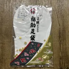 Item thumbnail for item bc60321b-dc4e-430b-805e-97ec740e8790