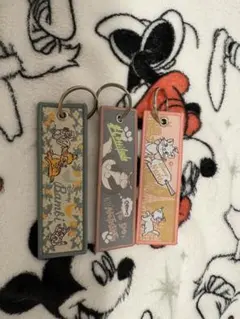 ディズニー　フライトタグ