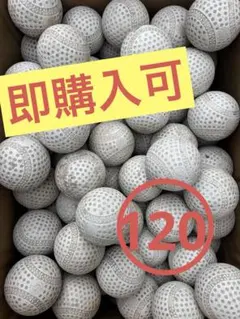 Item thumbnail for item 2b010668-f8ac-4029-9d3a-d9a10c40640b