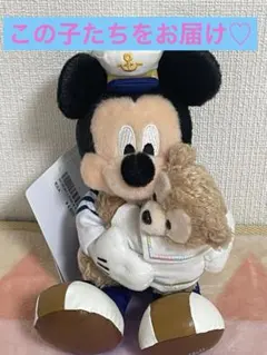 ダッフィー20周年 ミッキー ダッフィー ぬいぐるみバッジ