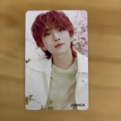 SEVENTEEN JOSHUA トレカ ALWAYS YOURS