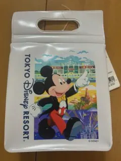 ディズニーランド　ケース　ミニタオル　ハンドクリーム　ミッキーマウス