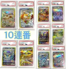 【PSA10】テラスタルフェスex ブイズ SAR 10連番