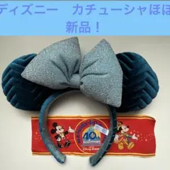ディズニー　カチューシャ　ほぼ新品　上品