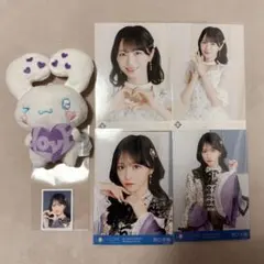 野口衣織 シナモロール =LOVE ぬいぐるみ 生写真 idフォト