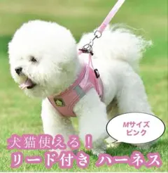 Item thumbnail for item 86c541c3-e54b-4c97-a7bc-c95db714bc4a