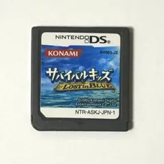 サバイバルキッズ　LOST in BLUE DS