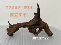 2026年最新】マシンガンウッドの人気アイテム - メルカリ