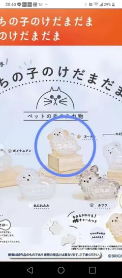 正規品　うちの子のけだまだま　犬のけだまだま　プードル