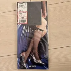 Tuché シャイニーメッシュ ブラックストッキング 22-25cm
