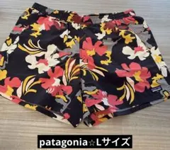 patagonia バギーズショーツ　5インチLサイズ