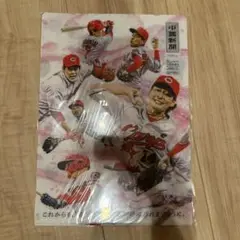 【新品未開封】広島東洋カープ　クリアファイル