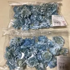 EARTH MASTER ヘリクリサム・ヘッド　 造花 10g入り　２個セット