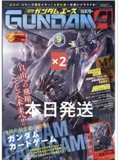月刊ガンダムエース9月号 付属プロモカード 未開封 2枚セット - メルカリ
