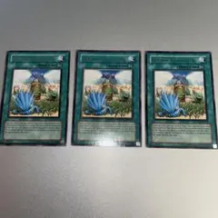 遊戯王　英語版　増草剤　字レア　３枚　Miracle Fertilizer