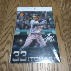阪神タイガース 下敷き #33 糸原健斗のサムネイル