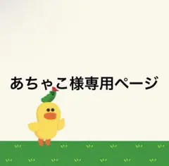 あちゃこ様専用ページ