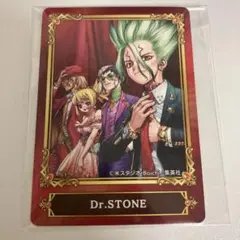 アニメイト ジャンプフェア 22 キャラクターカード Dr.STONE 新品