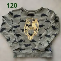 GITAトレーナー120