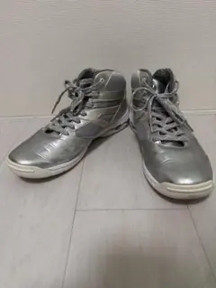 MIZUNO WAVE DIVERSE DE 26.5cm
