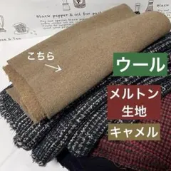 Item thumbnail for item 6a364a43-2bc6-4626-ae5d-b36a9a78588f