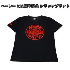 【110周年記念】ハーレーダビッドソン☆両面刺繍ロゴナイロンジャケット 希少XL 110周年記念】ハーレーダビッドソン☆両面刺繍ロゴナイロン