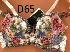 サルート/59G/ブラジャー/D65