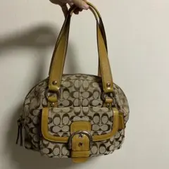 【極美品】COACH バッグ シグネチャー柄 ブラウン