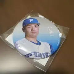 ファイターズ　エスコンガチャ★郡司裕也選手★ 缶バッジ