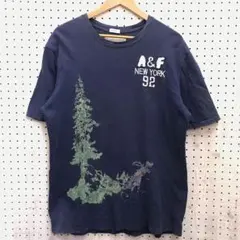 Abercrombie&Fitch アバクロ レトロ アメカジ 古着 プリントT