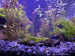 【まこと様専用】リクエスト 2点 まとめ商品