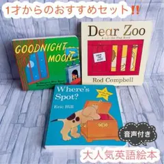 英語絵本　3冊セット　where’s spot ボードブック　絵本セット